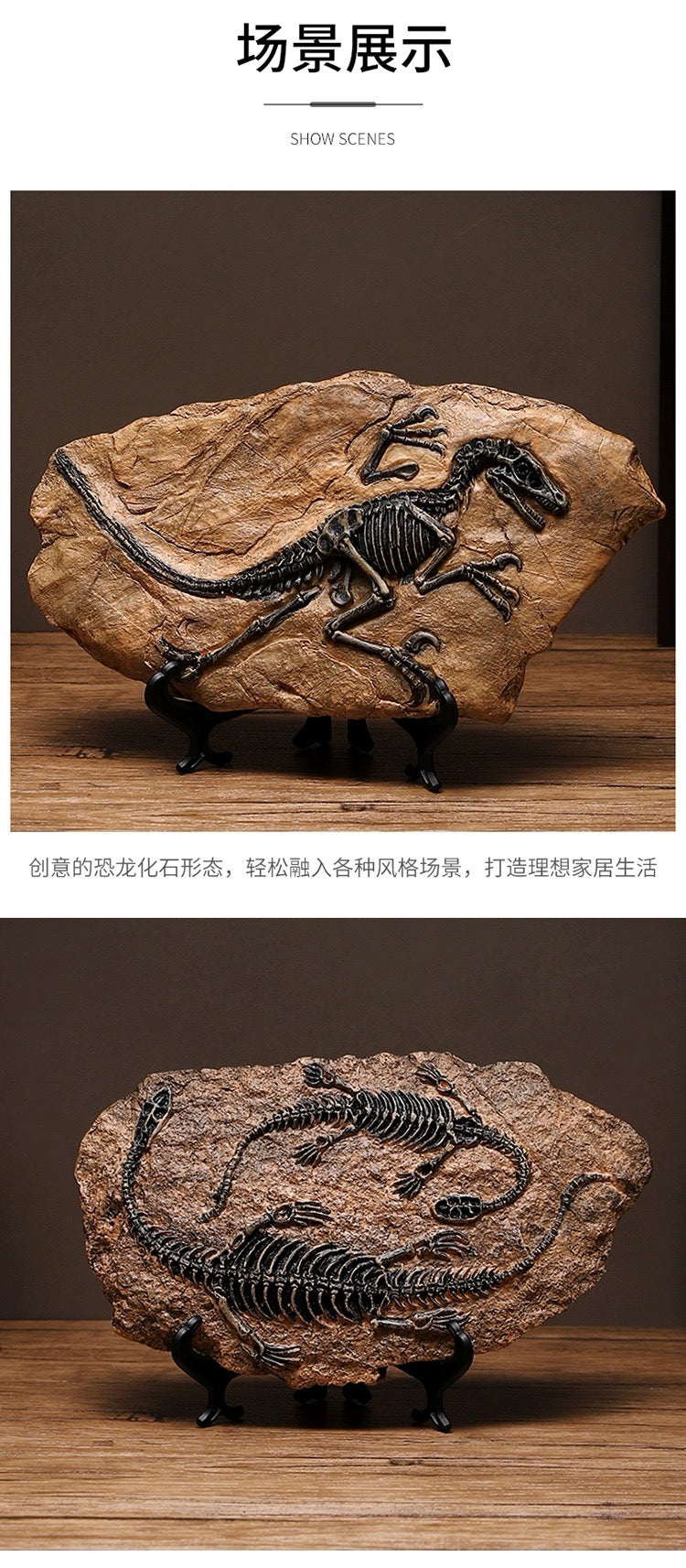 Creative Dinosaur Skeleton Fossil – Vintage T-Rex Display for Home, Office & Collectors