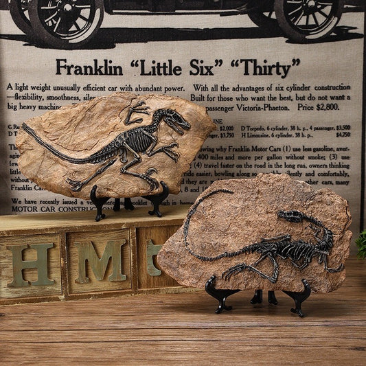 Creative Dinosaur Skeleton Fossil – Vintage T-Rex Display for Home, Office & Collectors