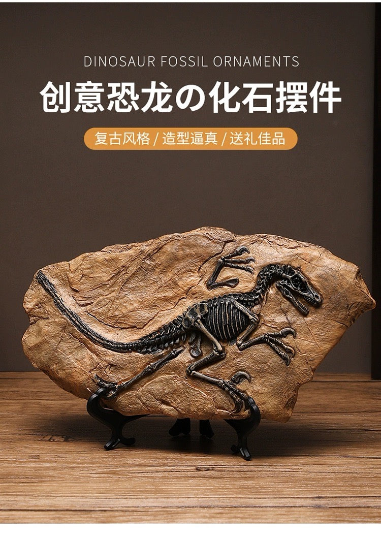 Creative Dinosaur Skeleton Fossil – Vintage T-Rex Display for Home, Office & Collectors