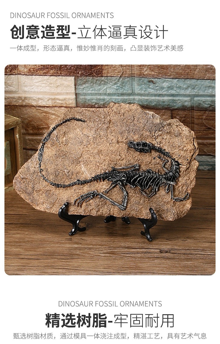 Creative Dinosaur Skeleton Fossil – Vintage T-Rex Display for Home, Office & Collectors